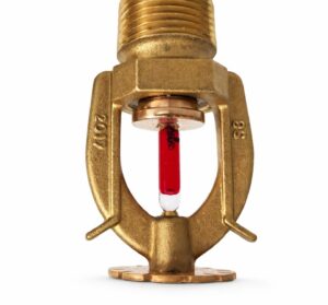 Đầu Phun Sprinkler Hướng Xuống Tyco Ty5251