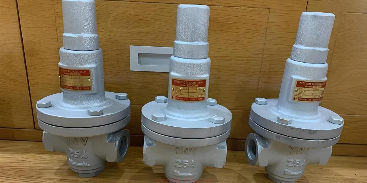 Van giảm áp YNV PIR-1S - Ảnh 2
