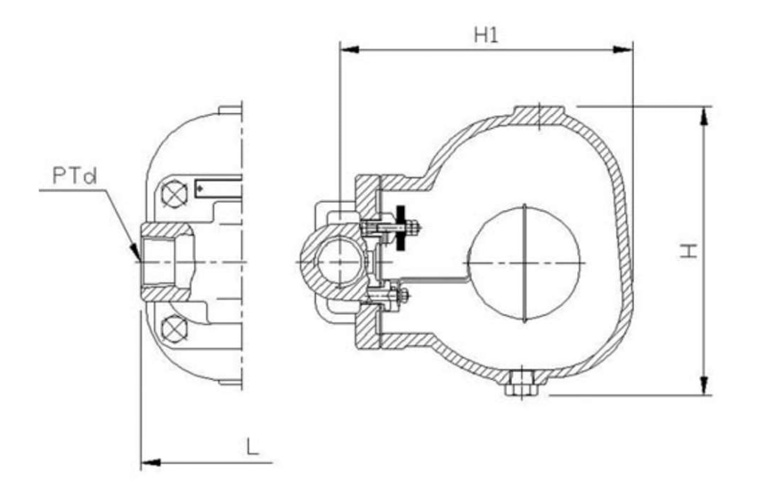 Bẫy hơi phao gang YooYoun TFT-1F - Ảnh 2