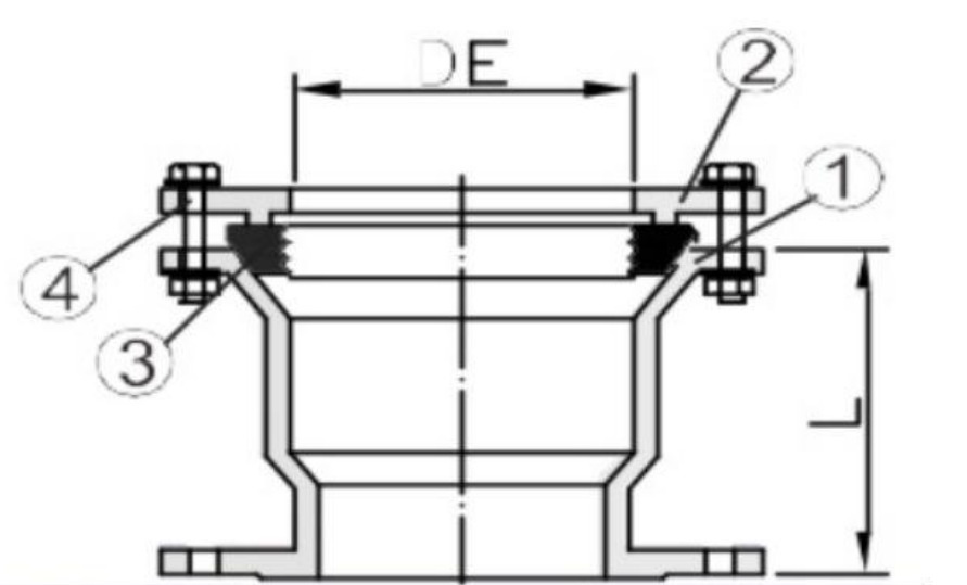 Khớp nối mềm gang BF T-BLUE - Ảnh 3