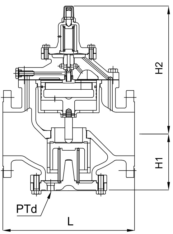 Van giảm áp Samyang YPR-1S - Ảnh 3