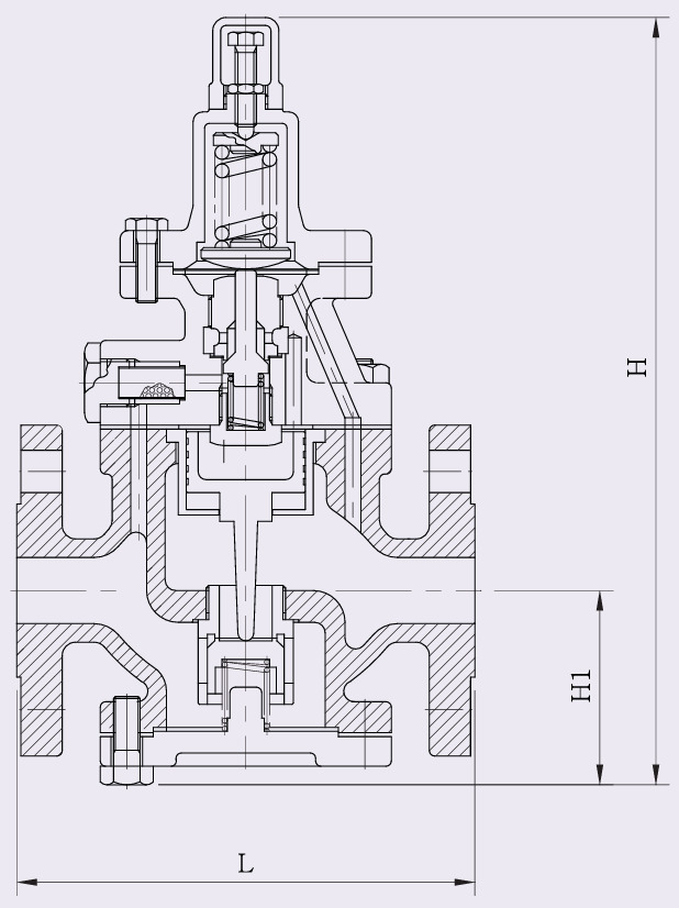 Van giảm áp YNV PIR-1F - Ảnh 3