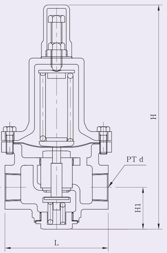 Van giảm áp YNV PIR-1S - Ảnh 3