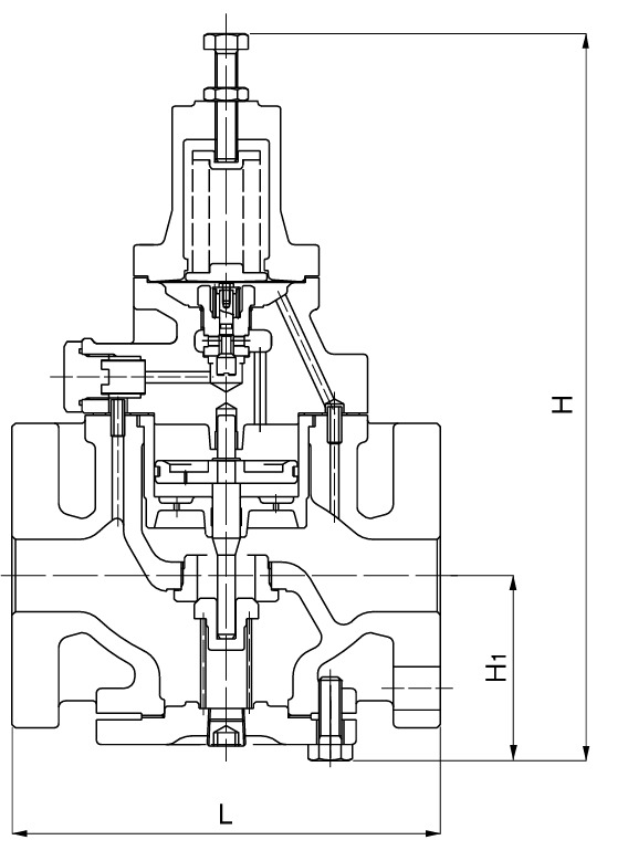 Van giảm áp Yoshitake GP-1000HEN - Ảnh 3