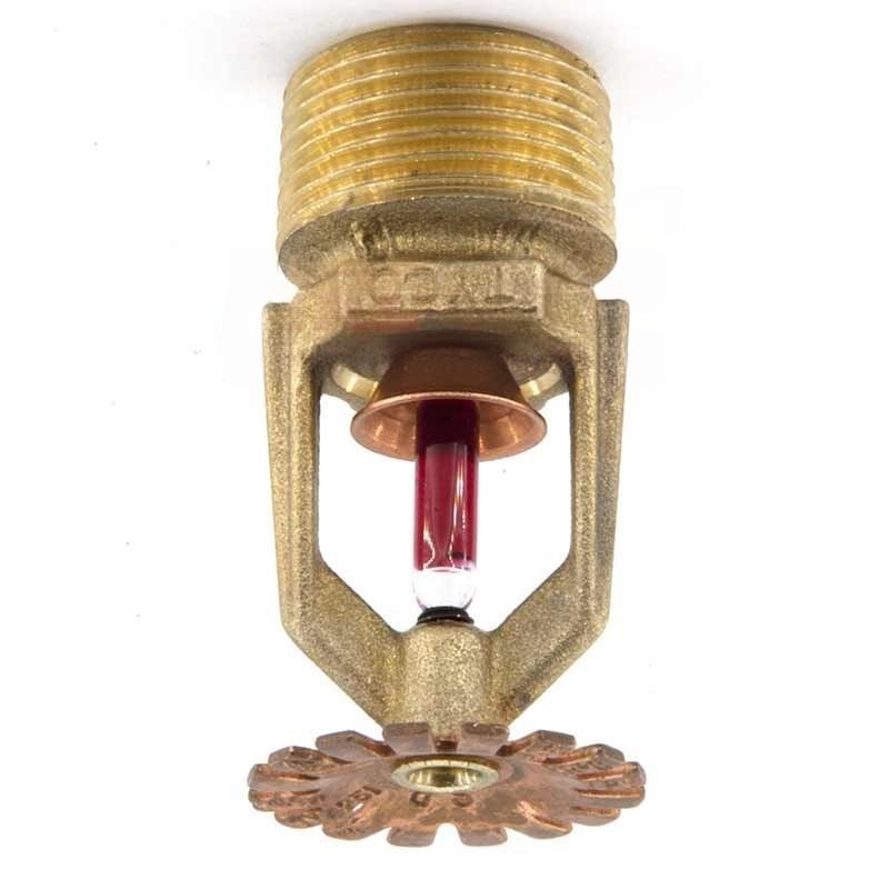 Đầu Phun Sprinkler Hướng Xuống Tyco Ty4251