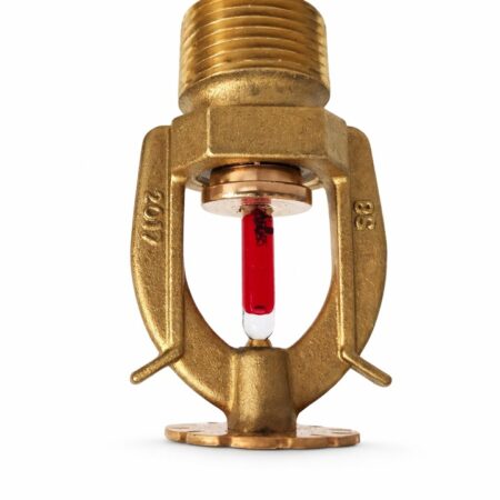 Đầu Phun Sprinkler Hướng Xuống Tyco Ty5251