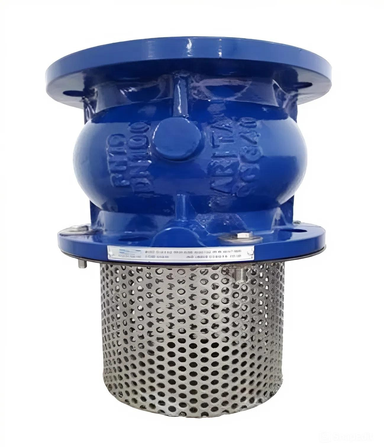 Rọ bơm gang Arita AFV-FE