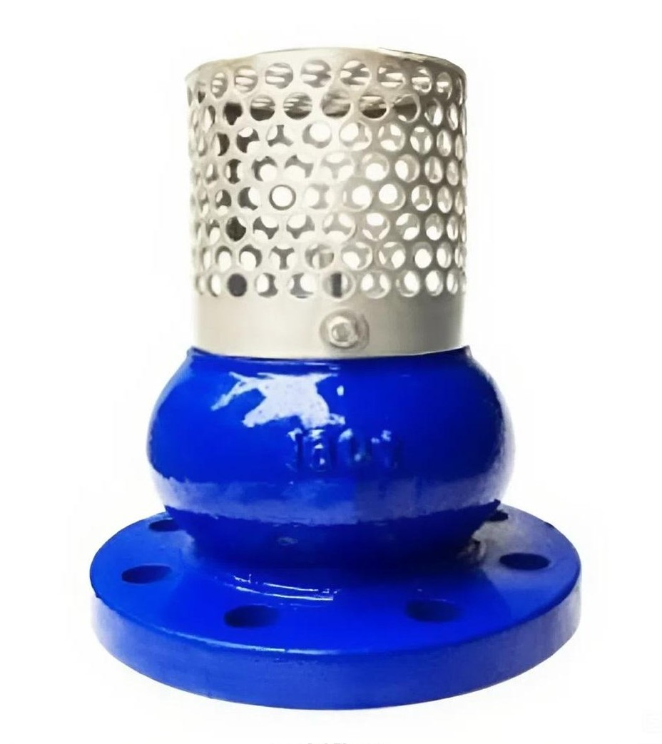 Rọ bơm gang AUTA 5100H
