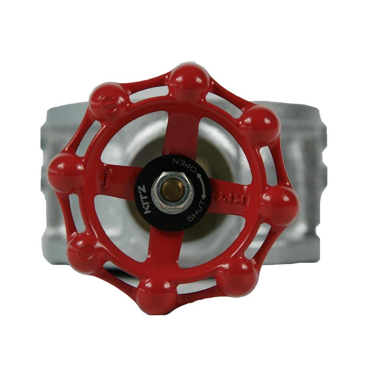 Van 1 chiều gang Kitz 10FWZ - Ảnh 2