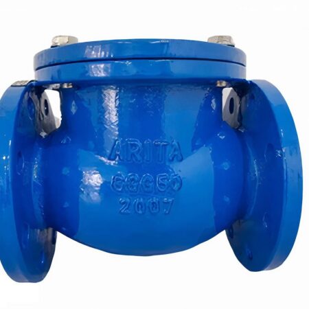 Van 1 chiều gang lá lật Arita DI-SC-PN16