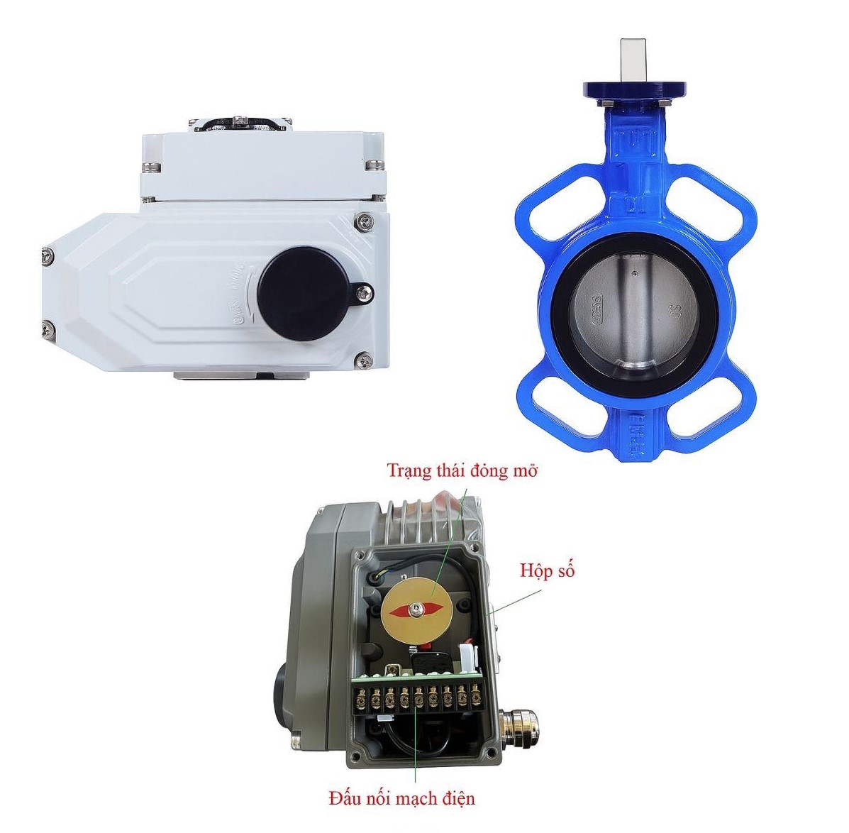 Van bướm điều khiển điện AUT FIG066 - Ảnh 2
