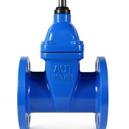 Van cổng AUT FIG01