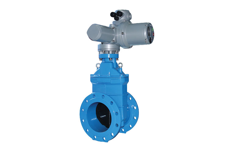 Van cổng Shinyi EMD