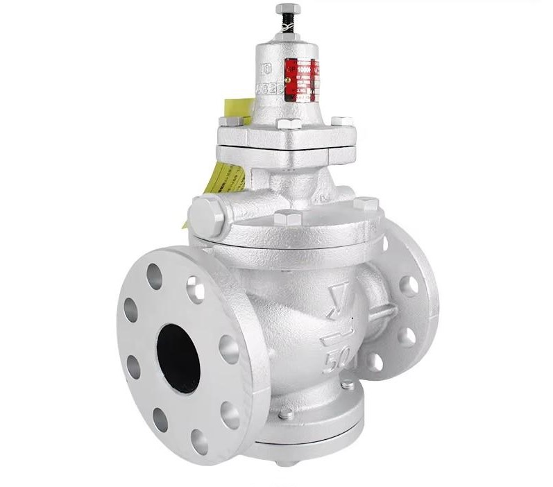 Van giảm áp Yoshitake GP-1000HEN - Ảnh 2
